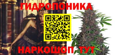 мяу мяу мука Ипатово