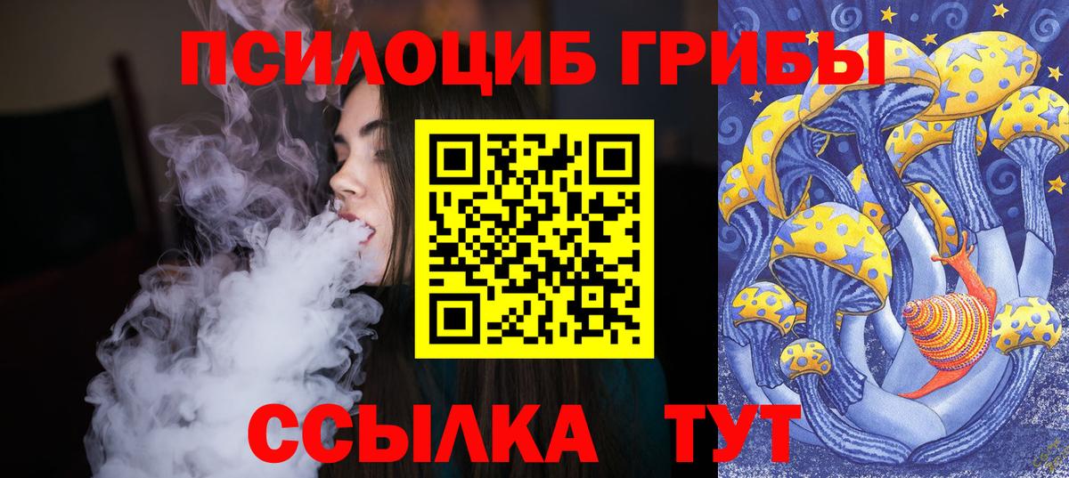 Лянтор  Псилоцибиновые грибы Psilocybe  Вход с VPN  Псилоцибиновые грибы прущие грибы 